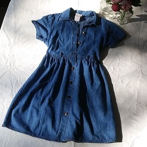Arizona Denim Buttoned Dress